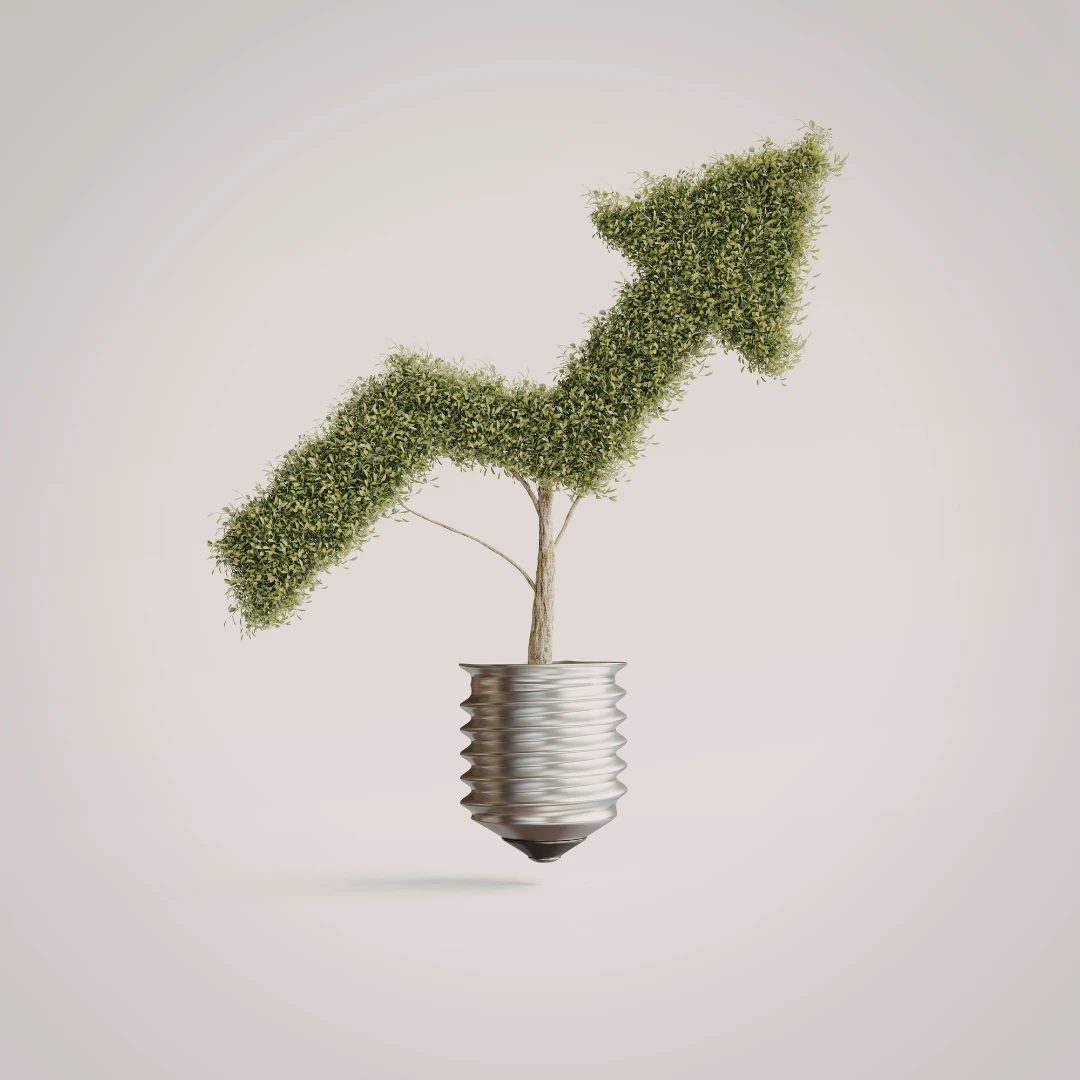 lightbulb symbolizing growth